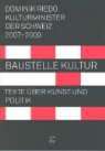Dominik Riedo - Baustelle Kultur