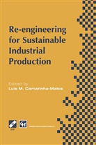 Luis M Camarinha-Matos, Luis M. Camarinha-Matos, Chapman, Chapman &amp; Hall, HALL - Re-engineering for Sustainable Industrial Production
