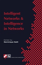Chapman, Chapman &amp; Hall, Dominique Gaiti, Dominique Gaïti, HALL - Intelligent Networks and Intelligence in Networks