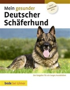 Lowell Ackerman, Lowell (Dr. Ackerman, Lowell (Dr. med. vet. Ackerman, Lowell (Dr. med. vet.) Ackerman, Marion (Dr Heigl, Marion (Dr. Heigl... - Mein gesunder Deutscher Schäferhund