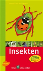 Heiko Bellmann, Gunte Steinbach, Gunter Steinbach - Steinbachs Naturführer Insekten