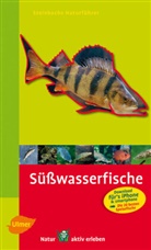 Uwe Hartmann, Gunte Steinbach, Gunter Steinbach - Steinbachs Naturführer Süßwasserfische