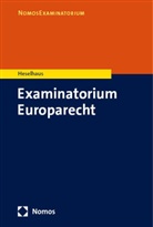 Sebastian Heselhaus, Sebastian M. Heselhaus - Examinatorium Europarecht