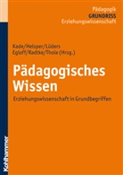 Birt Egloff, Birte Egloff, Jochen u a Kade, Werne Thole, Werner Thole, Eglof... - Pädagogisches Wissen