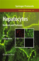 Patric Maurel, Patrick Maurel - Hepatocytes