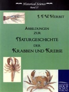 Johann F W Herbst, Johann F. W. Herbst, Johann Fr. Herbst, Johann Friedrich Herbst - Abbildungen zur Naturgeschichte der Krabben und Krebse
