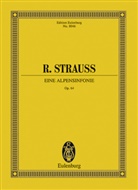 Richard Strauss, Stephan Kohler - Eine Alpensinfonie