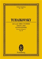 Peter I. Tschaikowski, Peter Iljitsch Tschaikowsky, Hug Priory, Hugh Priory - Schwanensee