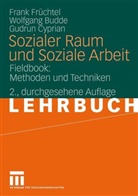 Wolfgang Budde, Gudrun Cyprian, Frank Früchtel - Sozialer Raum und Soziale Arbeit, Fieldbook