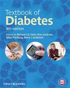 Clive Cockram, Allan Flvbjerg, Allan Flyvbjerg, Barry Goldstein, Barry J. Goldstein, Richard I. G. Holt... - Textbook of Diabetes