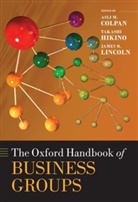Asli M. Colpan, Asli M. (Associate Professor Colpan, Asli M. Hikino Colpan, COLPAN ASLI M HIKINO TAKASHI H, Takashi Hikino, James R. Lincoln... - Oxford Handbook of Business Groups