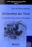 William Marshall - Bilderatlas der Tiere. Bd.2