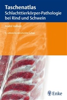 A. Vallant, Andre Vallant, André Vallant - Taschenatlas Schlachttierkörper-Pathologie bei Rind und Schwein
