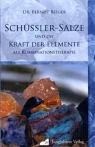 Berndt Rieger - Schüßler-Salze und die Kraft der Elemente als Kombinationstherapie