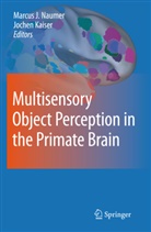 Marcu Johannes Naumer, Marcus Johannes Naumer, Kaiser, Kaiser, Jochen Kaiser, Marcus J. Naumer... - Multisensory Object Perception in the Primate Brain