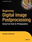 Sebastian Montabone - Beginning Digital Image Processing