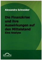 Alexandra Schneider - Die Finanzkrise und ihre Auswirkungen auf den Mittelstand