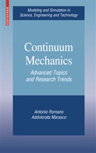 Addolorata Marasco, Antoni Romano, Antonio Romano - Continuum Mechanics