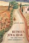 David N Myers, David N. Myers - Between Jew and Arab