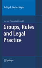 Rodrigo Eduardo Sanchez Brigido, Rodrigo E. Sánchez Brigido, Rodrigo Eduardo Sánchez Brigido - Groups, Rules and Legal Practice