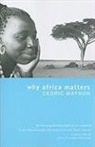 Cedric Mayson - Why Africa Matters