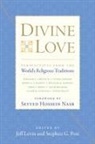 Jeff Levin, Jeff (EDT)/ Post Levin, Stephen G. Post, Stephen Garrard Post, Jeff Levin, Stephen Garrard Post... - Divine Love