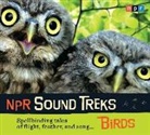Jon (NRT) Hamilton, Npr - Birds