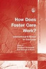 F, Elizabeth Fernandez, Elizabeth Barth Fernandez, Robert Flynn, Robbie Gilligan, Nancy Sampson... - How Does Foster Care Work?