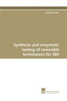 Angelika keller - Synthesis and enzymatic testing of reversible terminators for SBS