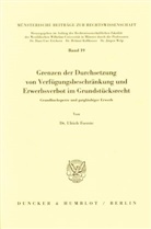 Ulrich Foerste - Grenzen der Durchsetzung von Verfügungsbeschränkung und Erwerbsverbot im Grundstücksrecht.