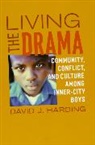 David J Harding, David J. Harding, HARDING DAVID J, Harding David J. - Living the Drama