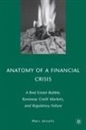 M. Jarsulic, Marc Jarsulic - Anatomy of a Financial Crisis