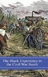 Stephen Ash, Stephen V. Ash - The Black Experience in the Civil War South