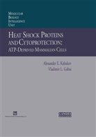 Vladimir L Gabai, Vladimir L. Gabai, A. Kabakov, Alexander Kabakov, Alexander E Kabakov, Alexander E. Kabakov - Heat Shock Proteins and Cytoprotection