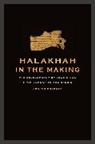 Aharon Shemesh, Shemesh Aharon - Halakhah in the Making