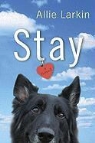Allie Larkin - Stay