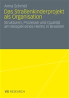 Anna Schmid, Anna K. Schmid - Das Straßenkinderprojekt als Organisation