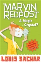 Louis Sachar - Marvin Redpost - Vol.8: Marvin Redpost: A Magic Crystal?