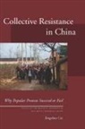 Yongshun Cai - Collective Resistance in China