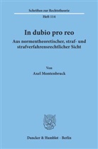 Axel Montenbruck - In dubio pro reo aus normentheoretischer, straf- und strafverfahrensrechtlicher Sicht.
