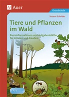 Susann Schnider - Tiere und Pflanzen im Wald