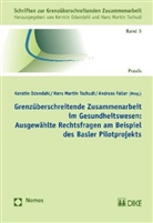 Monika Büchel, Tina Engeler, Marco Fusi, Markus Jakob, Alexandra Linder, Claudia Wetter... - Grenzüberschreitende Zusammenarbeit im Gesundheitswesen