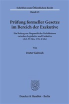Dieter Kabisch - Prüfung formeller Gesetze im Bereich der Exekutive.