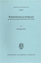 Wolfgang Hetzer - Wahrheitsfindung im Strafprozeß.