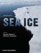 Dieckmann, Gerhard S. Dieckmann, Thomas, David N. Thomas, David N. Dieckmann Thomas, Gerhard S. Dieckmann... - Sea Ice