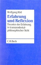 Wolfgang Röd - Erfahrung und Reflexion
