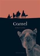 Irwin, Robert Irwin, Irwin Robert - Camel
