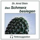 Arnd Stein - Den Schmerz besiegen, 1 CD-Audio (Audiolibro)