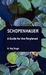 R. Raj Singh, R Raj Singh, R. Raj Singh, Raj R. Singh - Schopenhauer: A Guide for the Perplexed