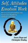 Christopher Bradley, Bradley Christopher, Anson Shupe, Anson Bradley Shupe, Anson D. Shupe, Anson D. Bradley Shupe... - Self, Attitudes, and Emotion Work